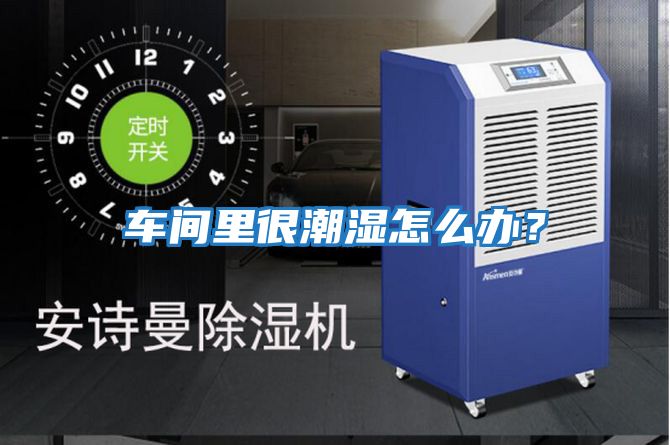 車間里很潮濕怎么辦？