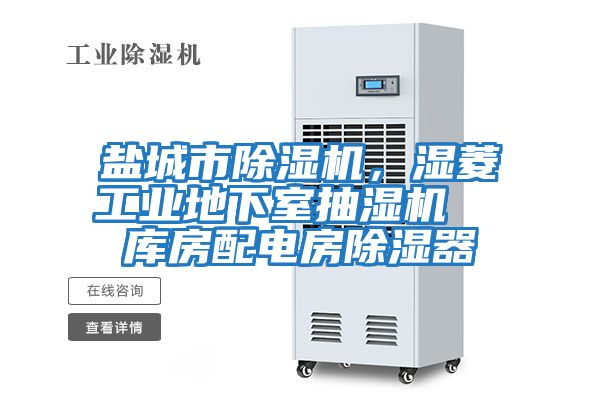 鹽城市除濕機,濕菱工業(yè)地下室抽濕機 庫房配電房除濕器