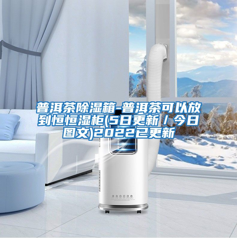 普洱茶除濕箱-普洱茶可以放到恒恒濕柜(5日更新/今日圖文)2022已更新
