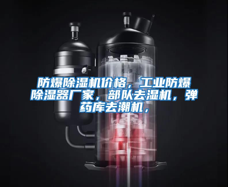 防爆除濕機價格，工業防爆除濕器廠家，部隊去濕機，彈藥庫去潮機，