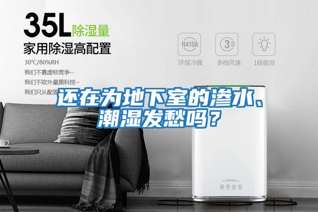 還在為地下室的滲水、潮濕發愁嗎?