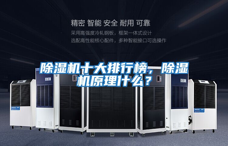 除濕機十大排行榜，除濕機原理什么？