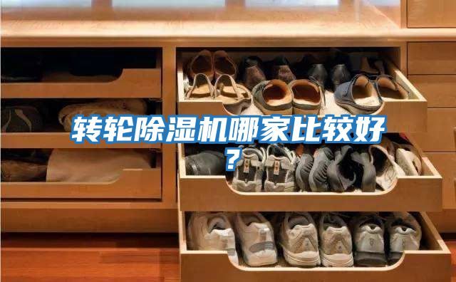 轉輪除濕機哪家比較好？