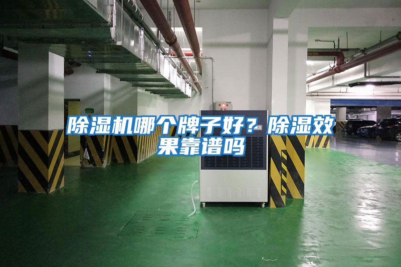 除濕機(jī)哪個牌子好?除濕效果靠譜嗎