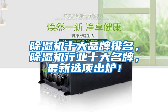 除濕機十大品牌排名,除濕機行業(yè)十大名牌,最新選項出爐!
