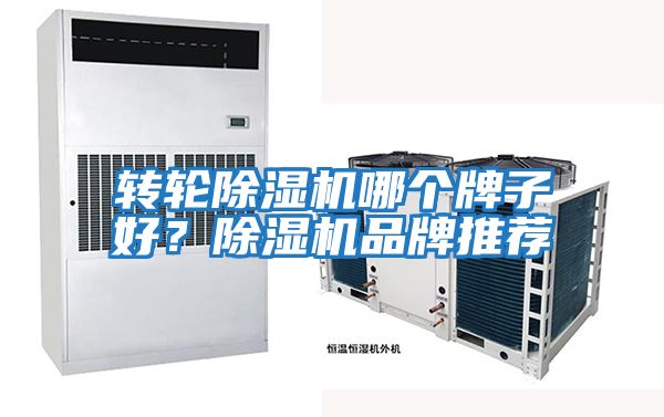 轉輪除濕機哪個牌子好？除濕機品牌推薦