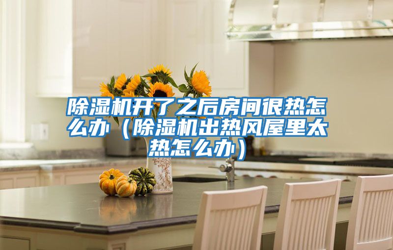 除濕機開了之后房間很熱怎么辦(除濕機出熱風屋里太熱怎么辦)