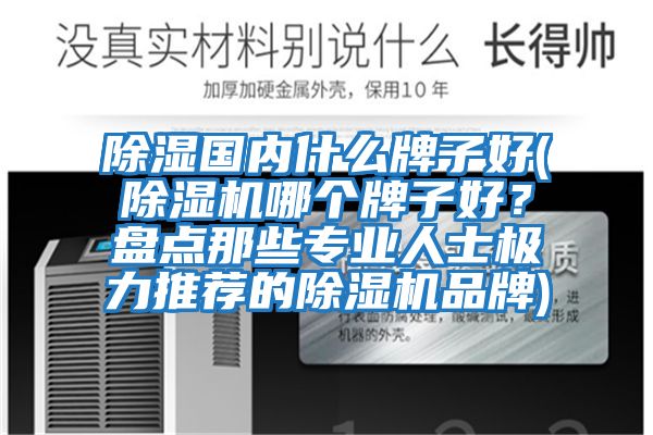 除濕國(guó)內(nèi)什么牌子好(除濕機(jī)哪個(gè)牌子好？盤點(diǎn)那些專業(yè)人士極力推薦的除濕機(jī)品牌)