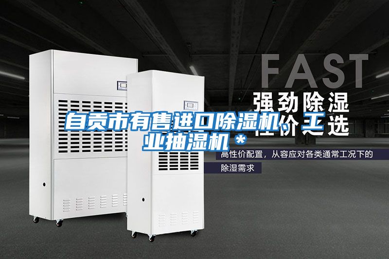 自貢市有售進口除濕機、工業抽濕機*