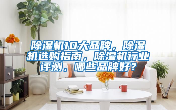 除濕機10大品牌，除濕機選購指南，除濕機行業(yè)評測，哪些品牌好？