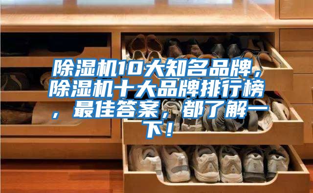 除濕機10大知名品牌，除濕機十大品牌排行榜，最佳答案，都了解一下！