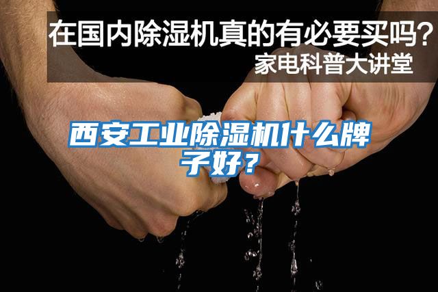 西安工業(yè)除濕機什么牌子好?