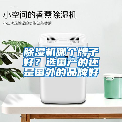 除濕機哪個牌子好？選國產的還是國外的品牌好
