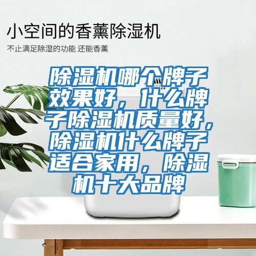 除濕機哪個牌子效果好，什么牌子除濕機質量好，除濕機什么牌子適合家用，除濕機十大品牌