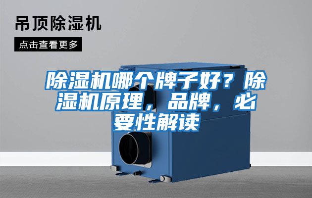 除濕機哪個牌子好？除濕機原理，品牌，必要性解讀