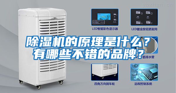 除濕機的原理是什么？有哪些不錯的品牌？