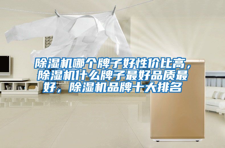 除濕機哪個牌子好性價比高,除濕機什么牌子最好品質最好,除濕機品牌十大排名