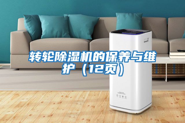 轉輪除濕機的保養(yǎng)與維護(12頁)