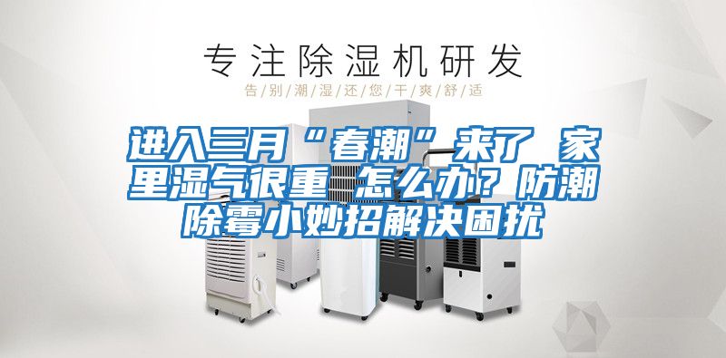 進入三月“春潮”來了 家里濕氣很重 怎么辦?防潮除霉小妙招解決困擾