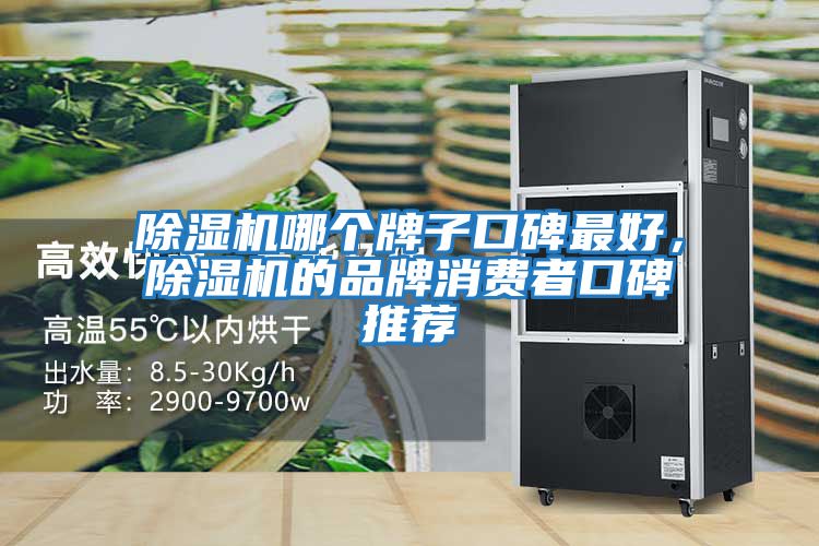 除濕機哪個牌子口碑最好,除濕機的品牌消費者口碑推薦