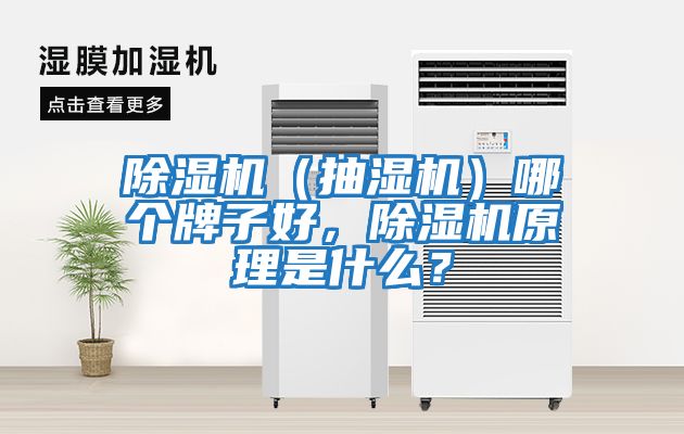 除濕機（抽濕機）哪個牌子好，除濕機原理是什么？
