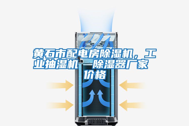 黃石市配電房除濕機(jī)，工業(yè)抽濕機(jī)  除濕器廠家 價格