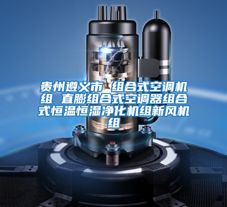 貴州遵義市 組合式空調機組 直膨組合式空調器組合式恒溫恒濕凈化機組新風機組