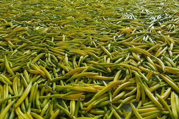 無硫金針菜烘干如何保持品相？不發黑？