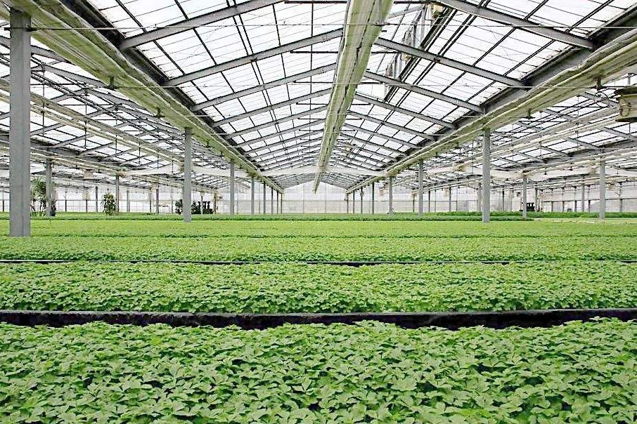 除濕器如何解決高濕度、多種危害的溫室除濕問題?